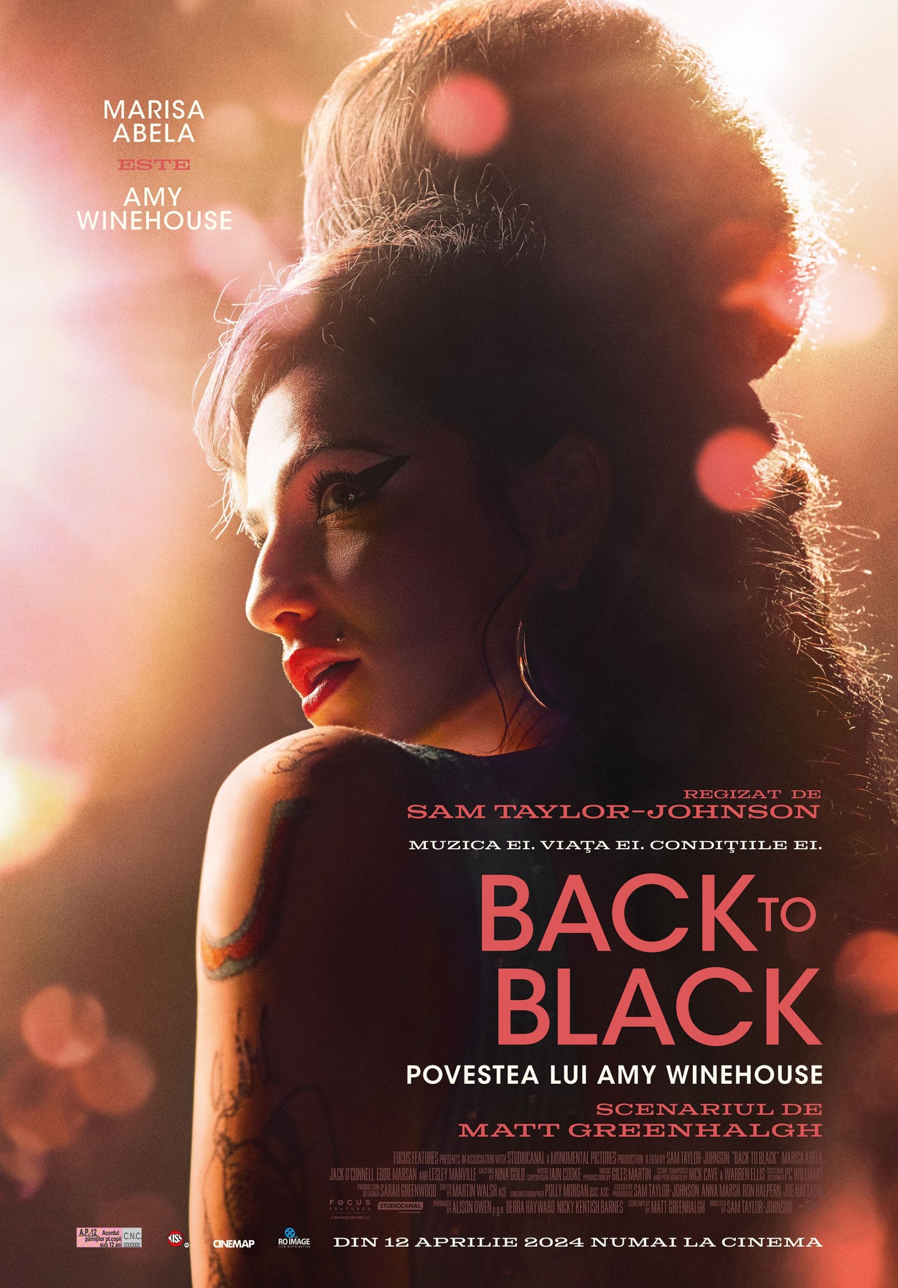 BACK TO BLACK: POVESTEA LUI AMY WINEHOUSE