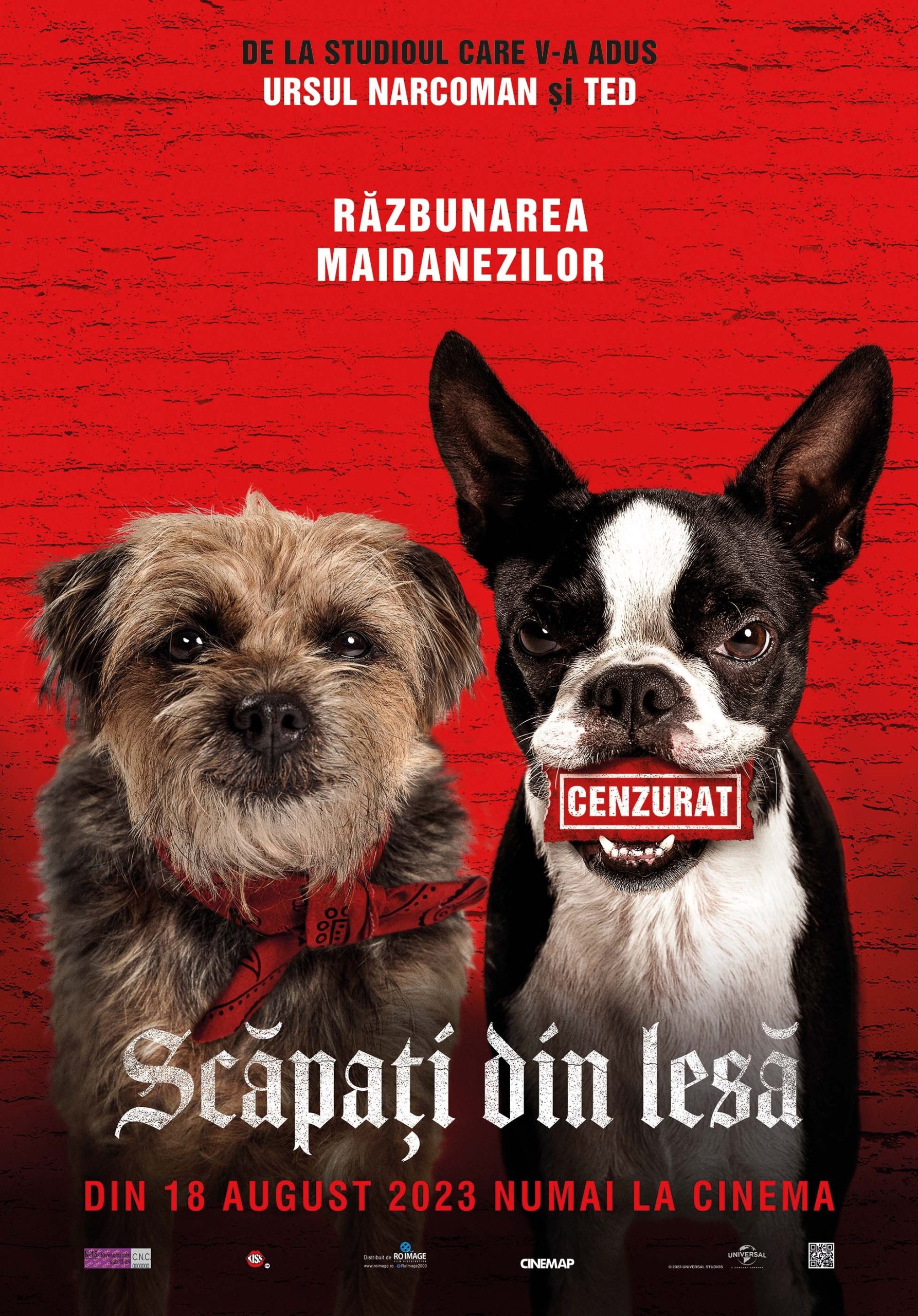 SCĂPAȚI DIN LESĂ