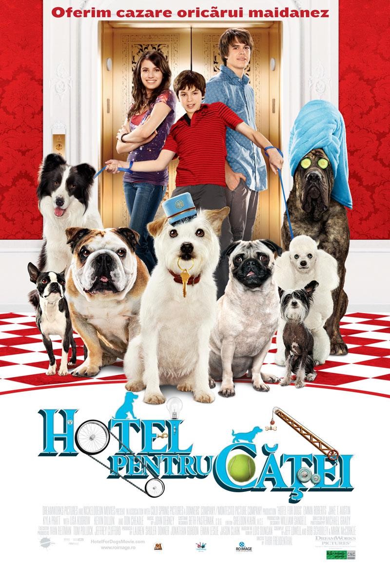 HOTEL PENTRU CATEI